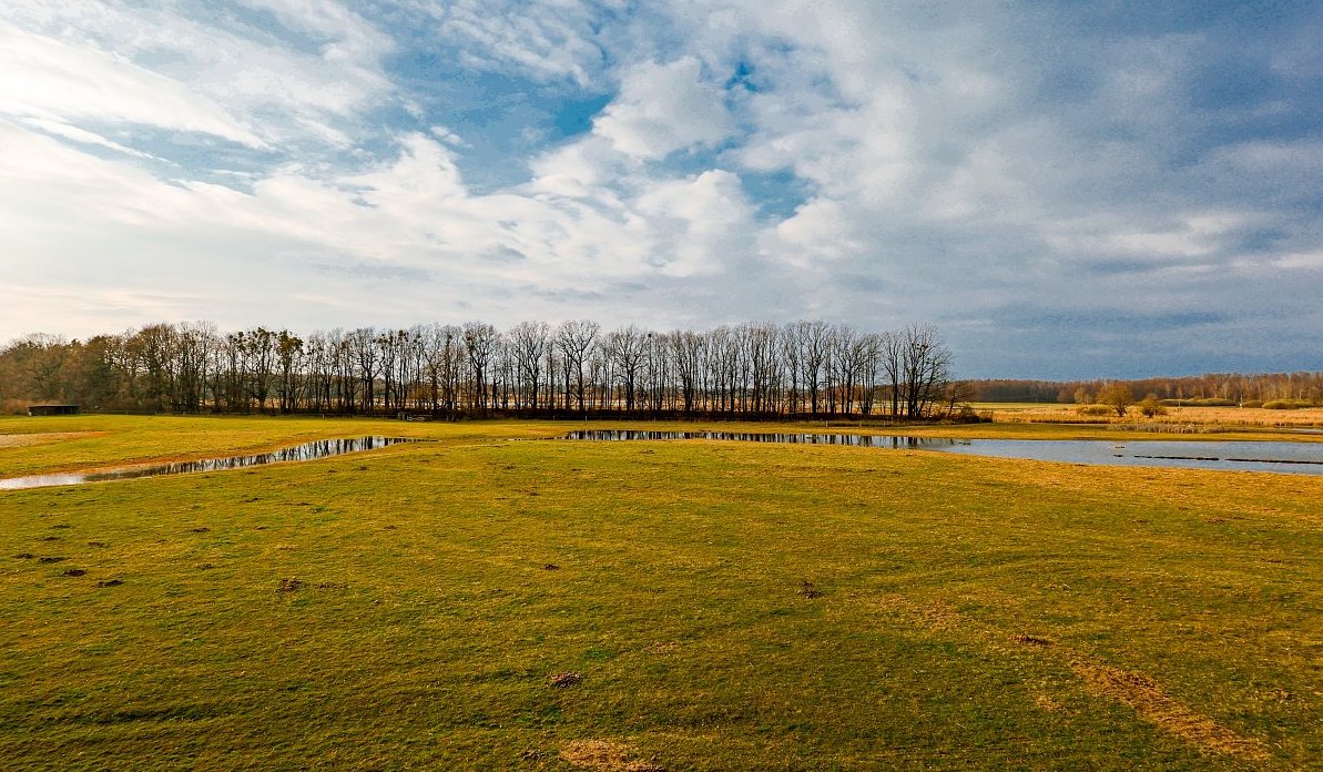 FOTO DNE 30.4.: Eliška Murasová - Lesík, louky, voda a nebe