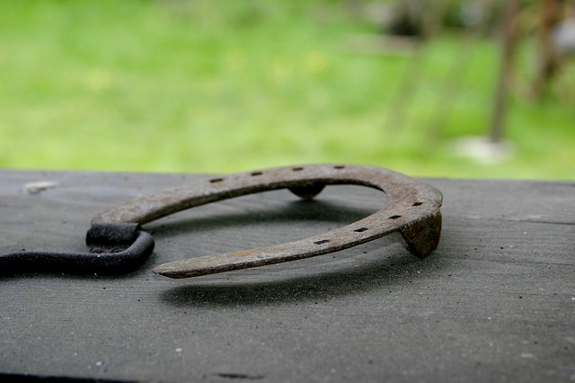 Můj zážitek roku? Nic
podstatného se nestalo!