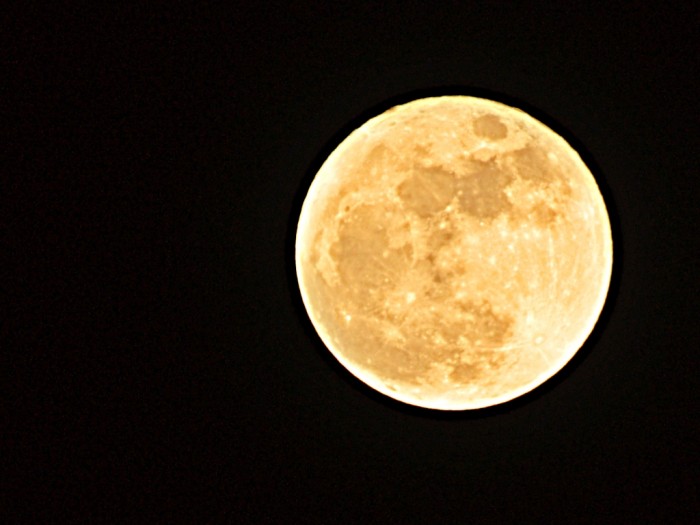 Češi kupovali před svátky
také parcely na Měsíci