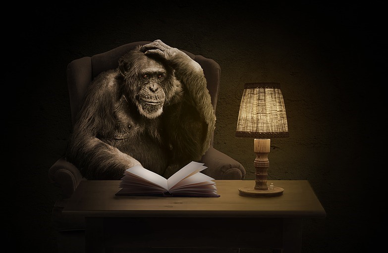 Glosa: Opičení po "americku"