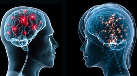 Podle psychologa Flynna
jsou ženy chytřejší než muži