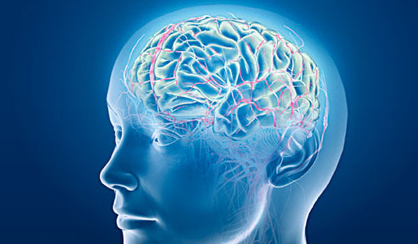 Mozková mrtvice: co můžeme
udělat pro sebe či své blízké?