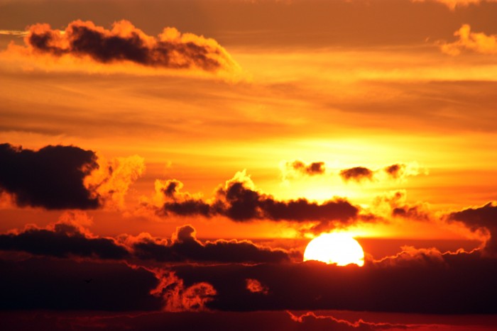 Už to skončím a dobrovolně
zemřu. Jedu do Švýcarska