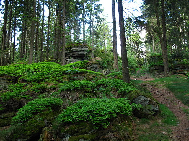 Velmi krásná sobota přinesla 
na jihu Čech nové teplotní rekordy