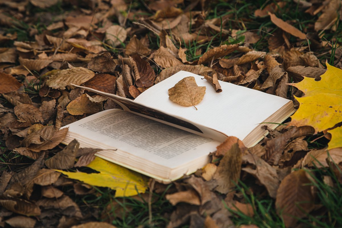 Knižní novinky podzimu