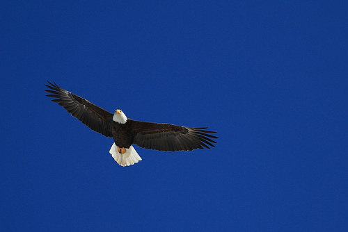 Vzkaz pro moji lásku