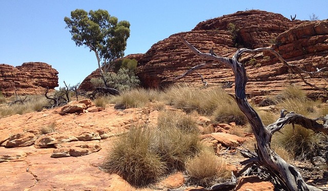 Jak chlapec Thabo a děda
Samoa přivolali déšť