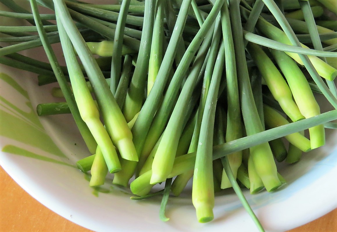 Česnekové výhonky nevyhazujte. Jsou ideální pro přípravu pokrmů