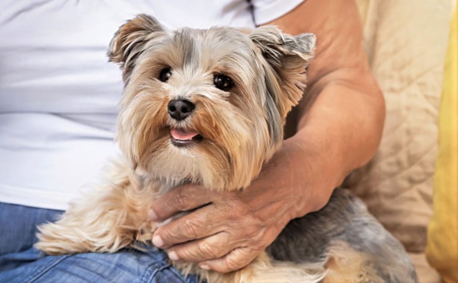 Můj zážitek roku: Znovu jsem se narodila