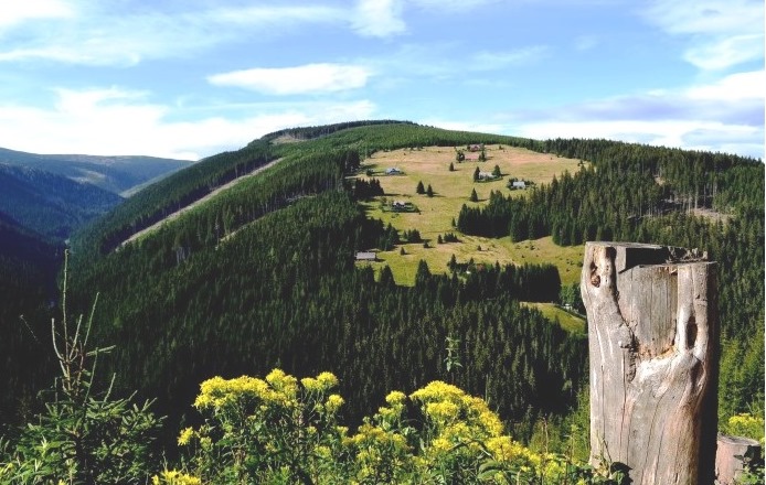 Jelení hora. Vítězný snímek 
fotosoutěže magazínu i60