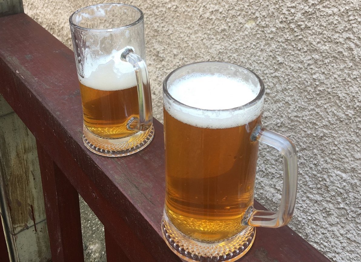 Jak jsem se naučila pít pivo