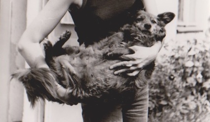 Lesánek byl fenka aneb
Příběh o psím miláčkovi