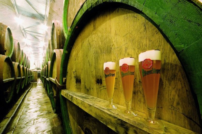 Jak sládek Groll uvařil plzeňský
zázrak. Byl to úmysl či náhoda?