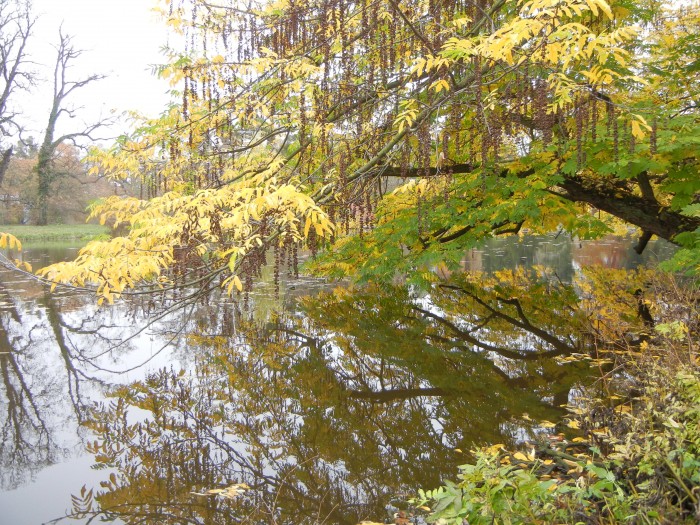 V takový krásný společnosti