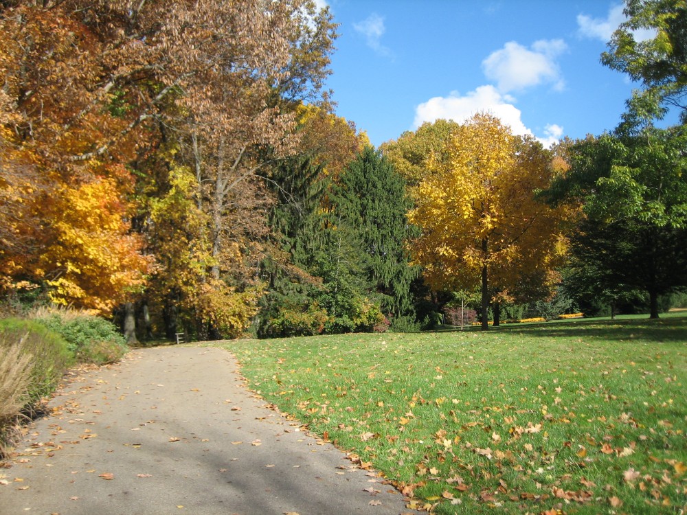 Mikuláš na saních
nepřijede, teplo vydrží