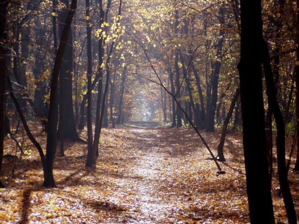 Čas zvaný dušičkový