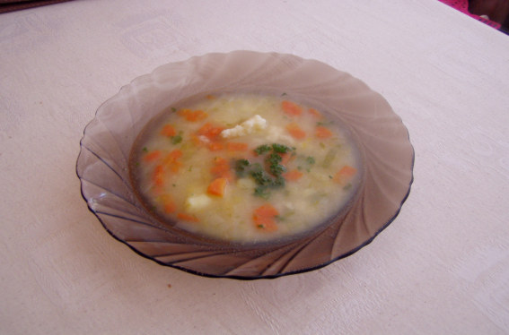 Jarní polévka
chudého důchodce