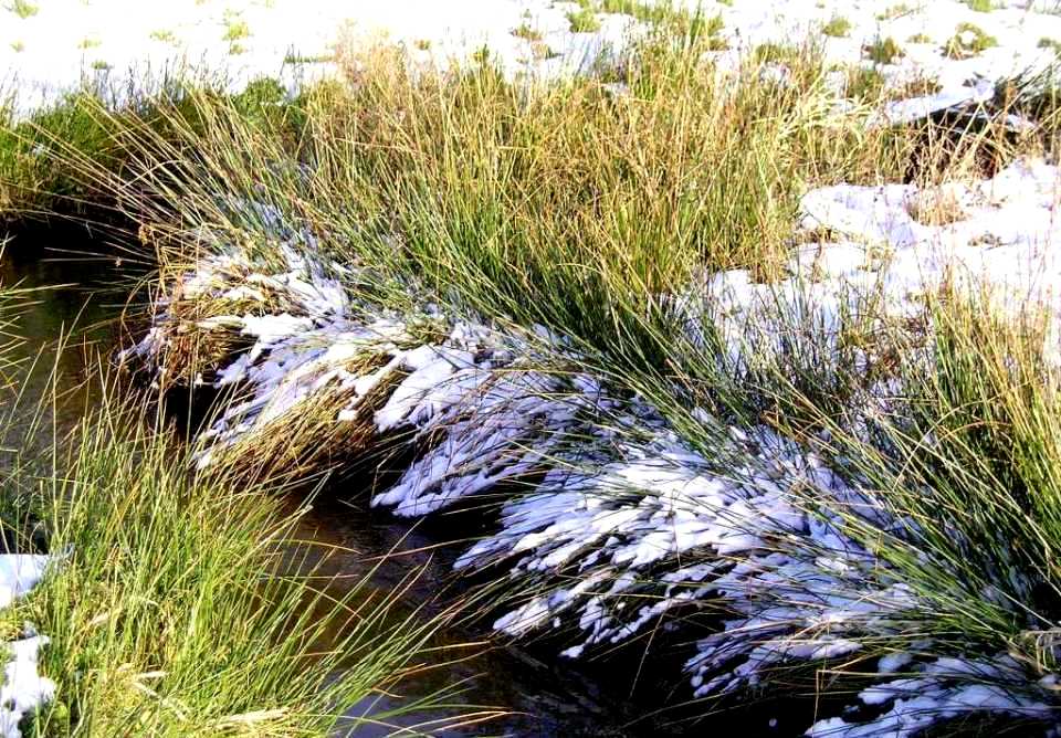 Pohádky pro Honzíka 7:  
Jarní tání