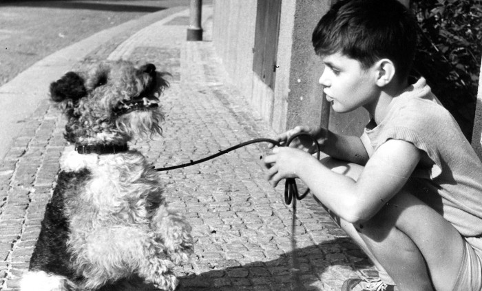 Film pro pamětníky:
Punťa a čtyřlístek