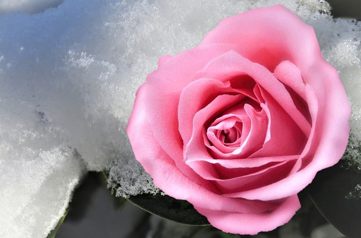 Já se v duchu ptám