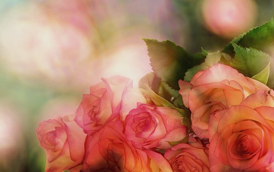 Naše láska je stálá