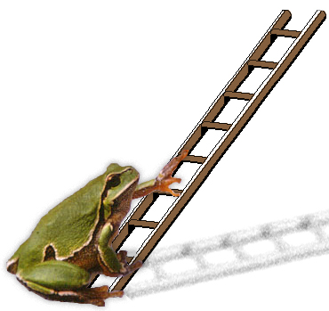 Jarní pranostiky napoví,
jak se postarat o zdraví