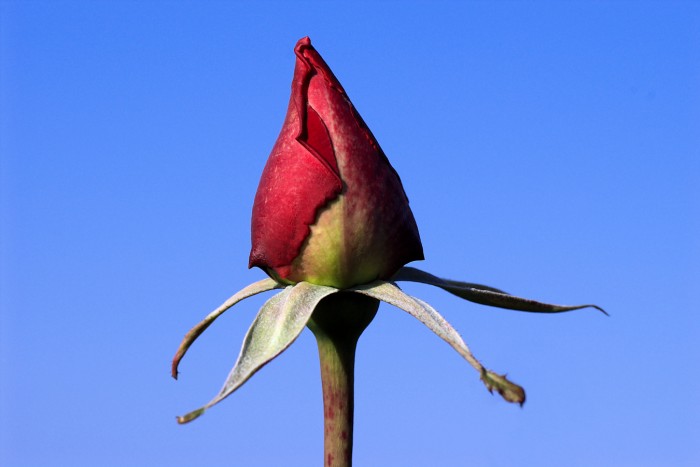 Tento den patří Vám,
vážení přátelé, senioři