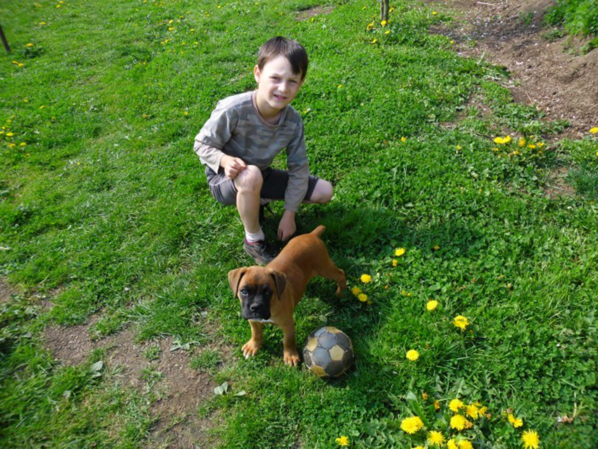 Můj seniorský život: Obyčejný život, nebo velké štěstí?