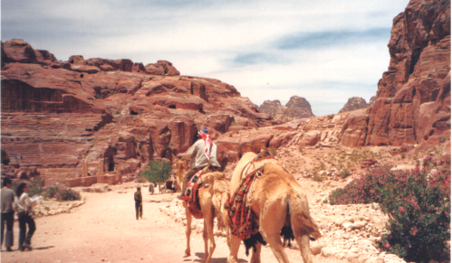 scan-20260222-23-.png