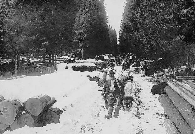Vlakový zájezd, skvělá šance 
jak poznávat Šumavu