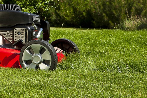První jarní kroky pro krásný trávník