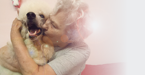 I vy můžete pomoci 
splnit přání seniorům