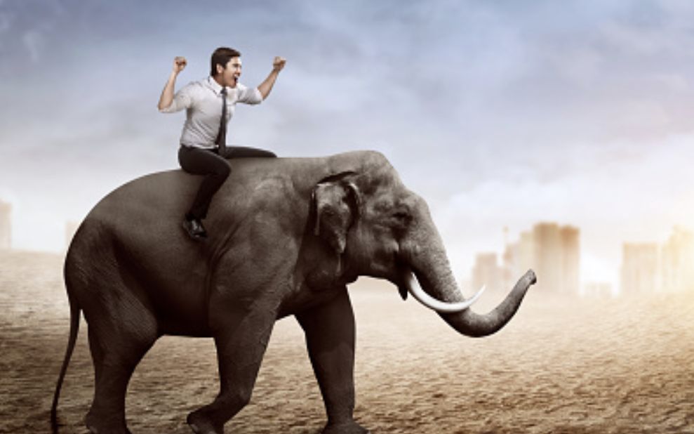 O pouti Boháče do Mekky