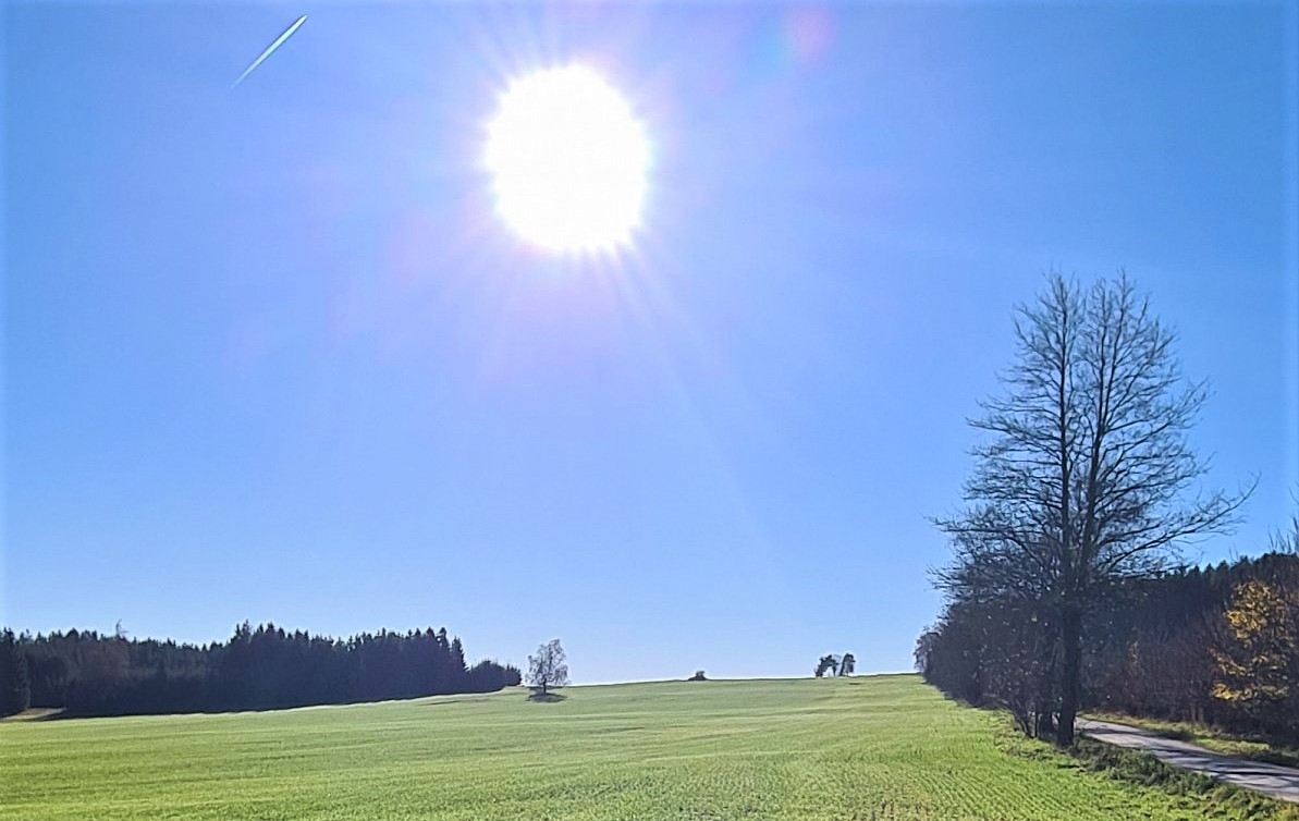 Úsměvné legrácky zpestřují náš život, někdy