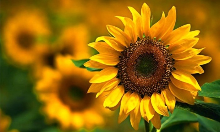 Netruchlete sami, sdílení
smutku vás vrátí do života