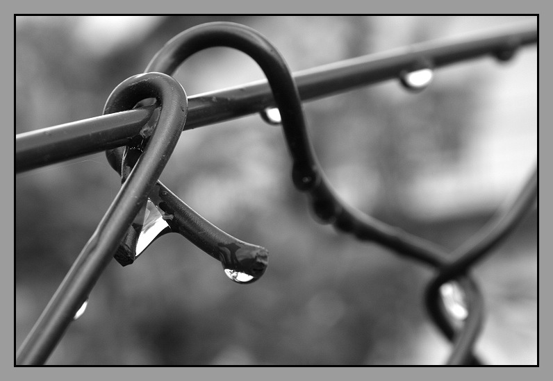 Infuze, skleróza a jiné úsměvy