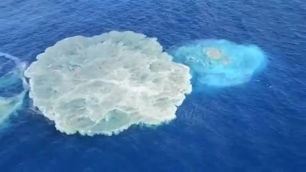 V Grónském moři nalezli
rozsáhlé sopečné pohoří 