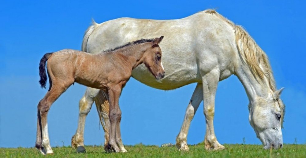 Jak se zabavit v září?
Nabízíme několik tipů