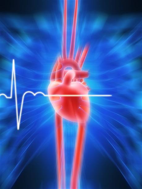 Jediný muž bez srdce
na světě žije už sto dní