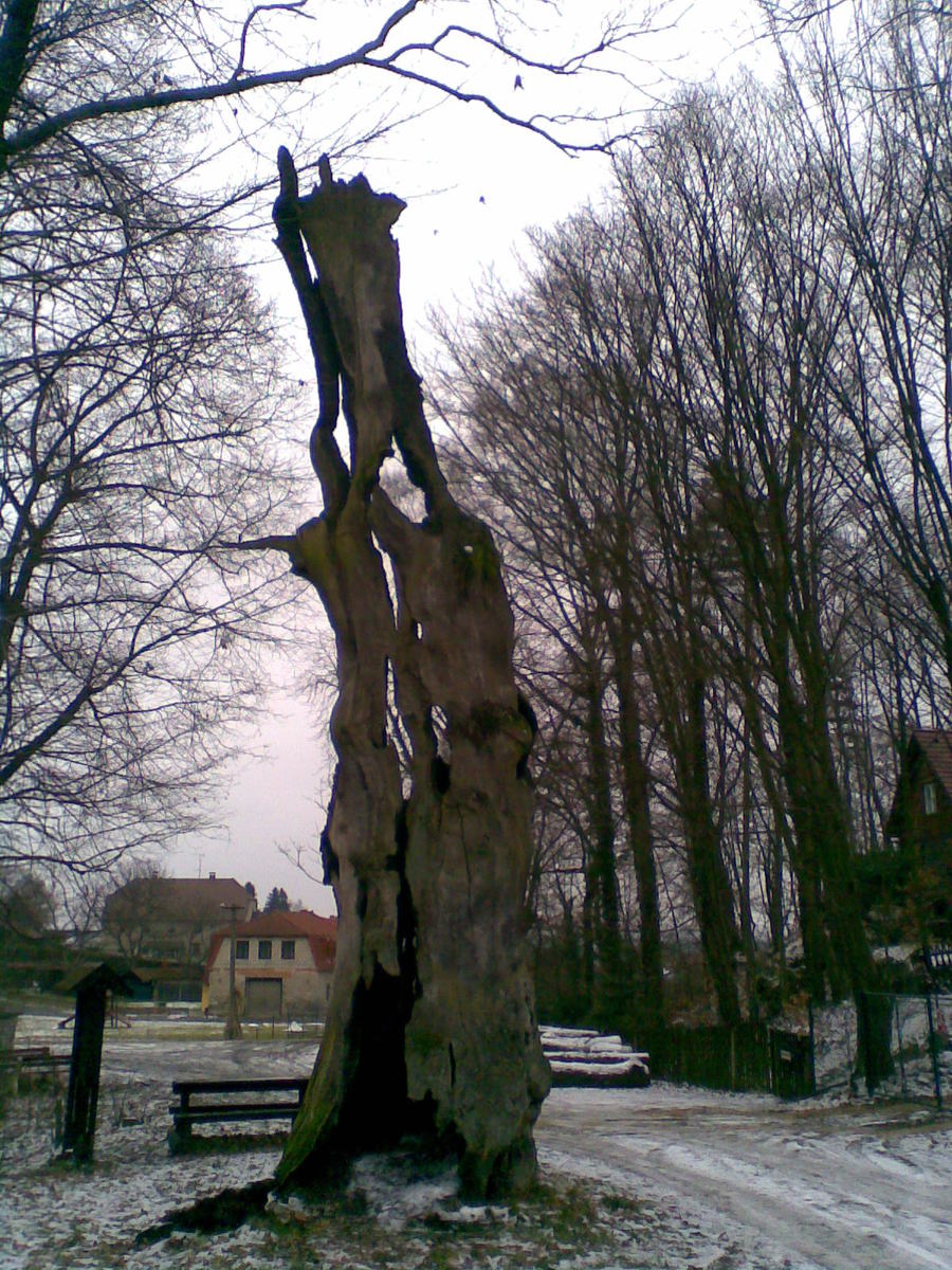 Zas jednou být hostem