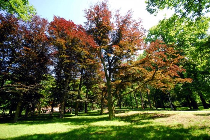 Pozor, s vycházkami do pražských
parků zatím určitě počkejte!