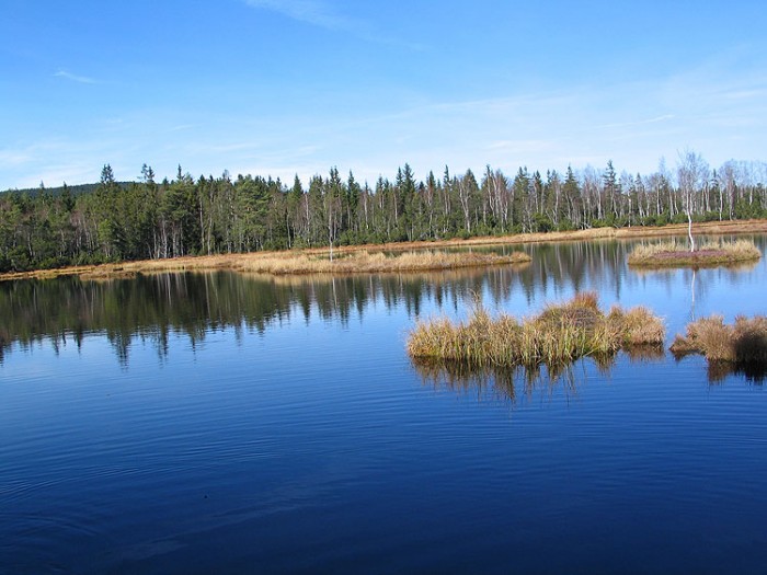 Správci budou vozit seniory
i postižené přírodou Šumavy