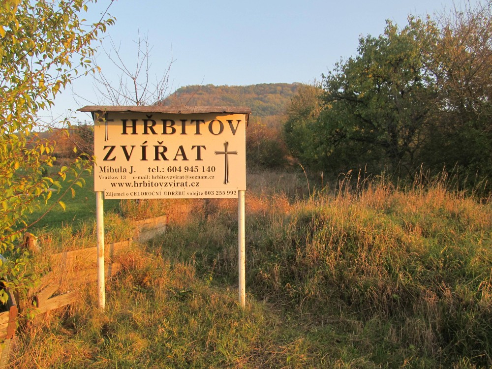 Dušičky trochu jinak