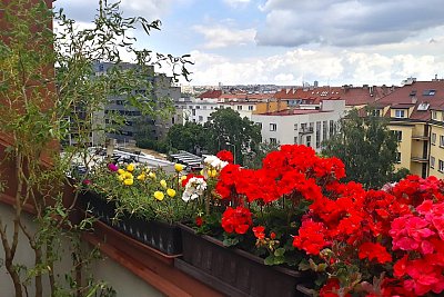 Letní rozkvetlá terasa