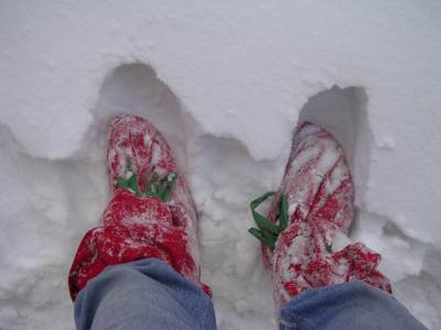 Vítězství nad sněhem