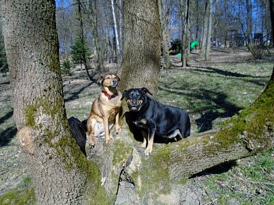 Tak my tedy vydržíme, i když je to nepohodlné bábinko.