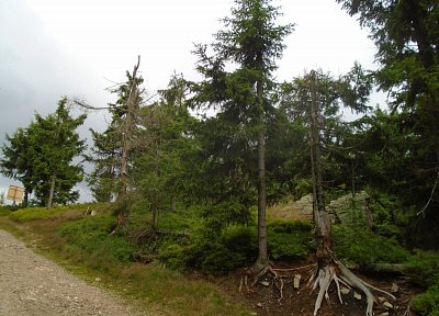 První kroky vzhůru..