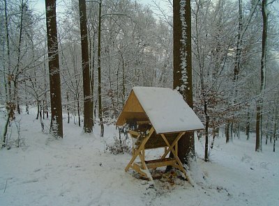 Už sloužím srnkám a veverkám.