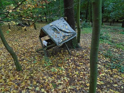 Ještě včera jsem přežíval ve větru a dešti z posledních sil.