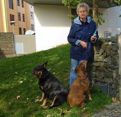 Tak kdypak to začne bábinko? Dori vydrž, také jsem celá nedočkavá.